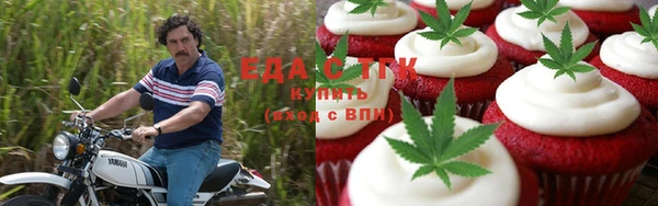 индика Киреевск