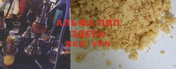 индика Киреевск
