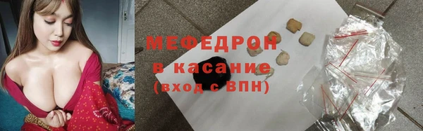 индика Киреевск