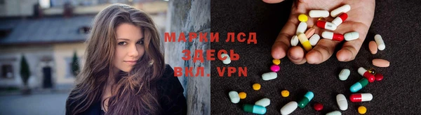 индика Киреевск