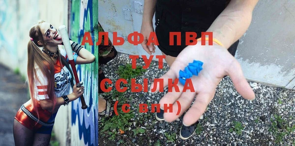 spice Кинешма