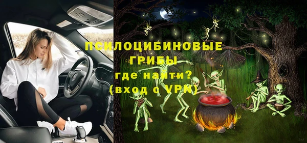 индика Киреевск