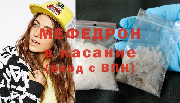 индика Киреевск