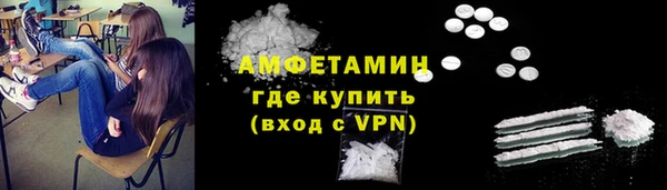 индика Киреевск