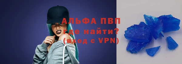 индика Киреевск