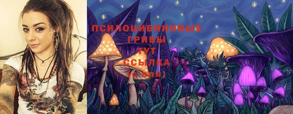 spice Кинешма