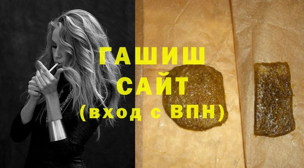 индика Киреевск