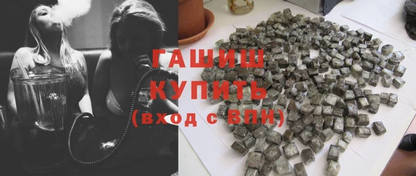 индика Киреевск
