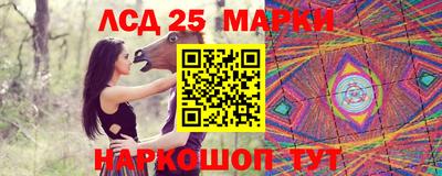 Альфа ПВП Кандалакша