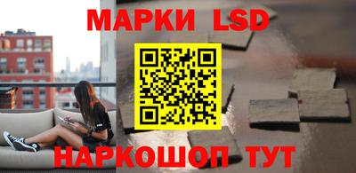 Альфа ПВП Кандалакша