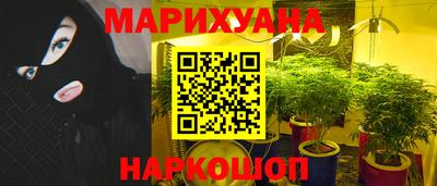 Альфа ПВП Кандалакша