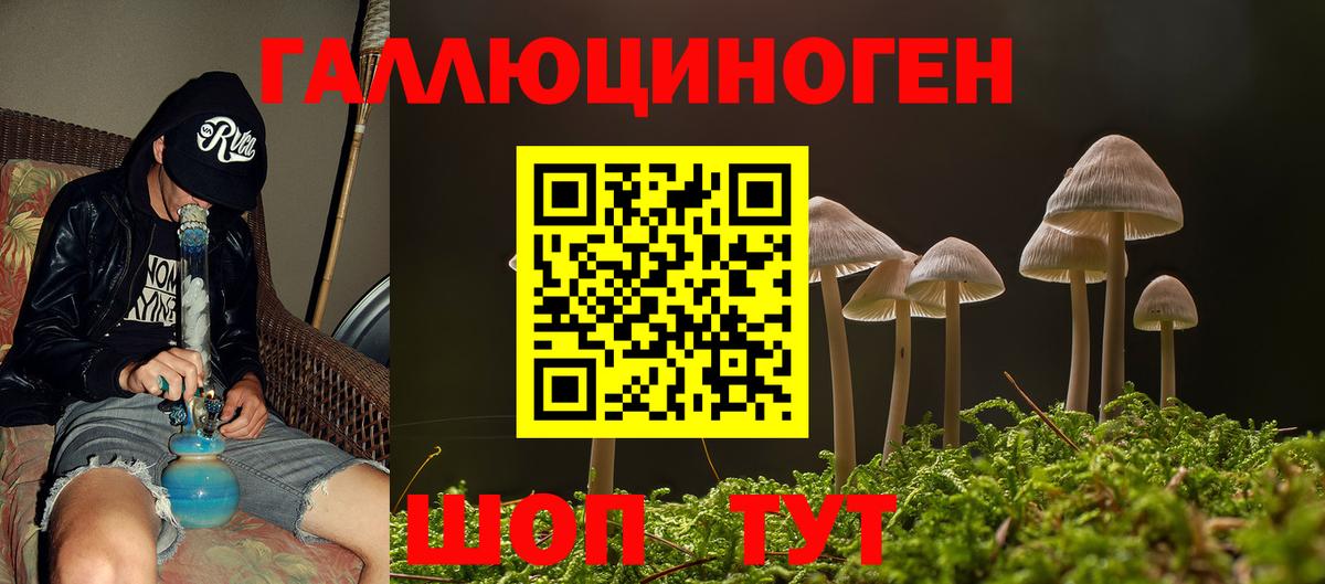 Галлюциногенные грибы Psilocybe  Вход с VPN  Саяногорск  Псилоцибиновые грибы мухоморы 
